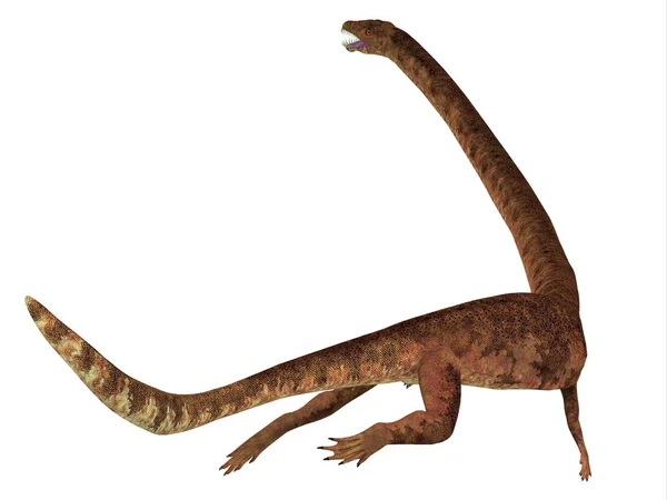 Tanystropheus dinozor kuyruk — Stok fotoğraf