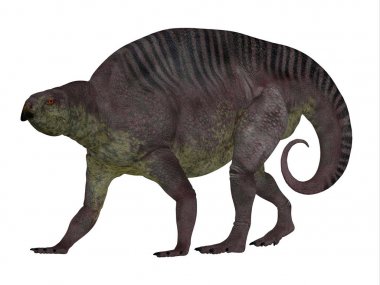 Lotosaurus dinozor yan profili