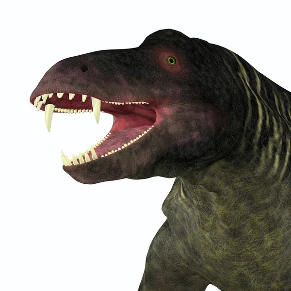 Jonkeria 恐竜の頭 — ストック写真