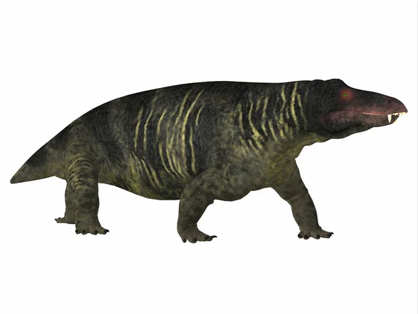 (Inggris) Jonkeria Dinosaur Side Profile — Stok Foto