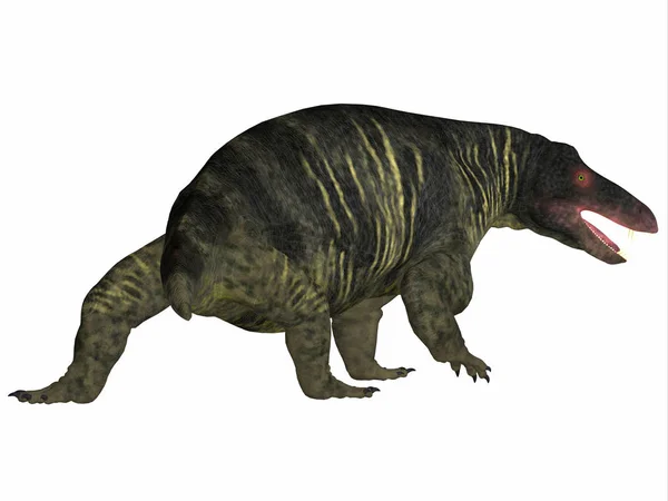Cauda de dinossauro Jonkeria — Fotografia de Stock