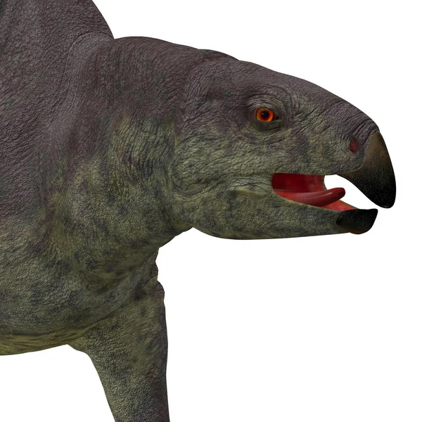 Lotosaurus dinosaurie huvud — Stockfoto