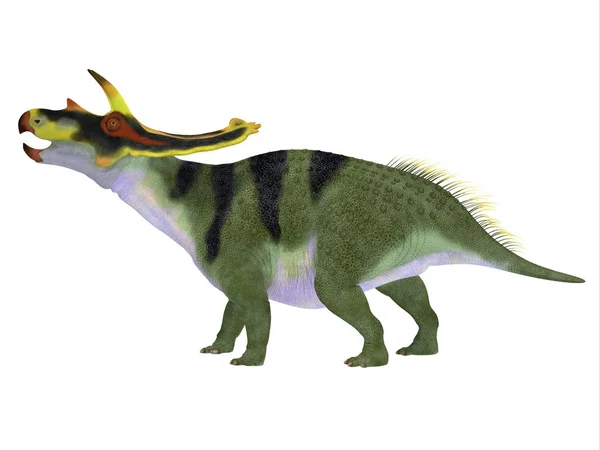 Perfil lateral de dinosaurio de Anchiceratops Imágenes de stock libres de derechos