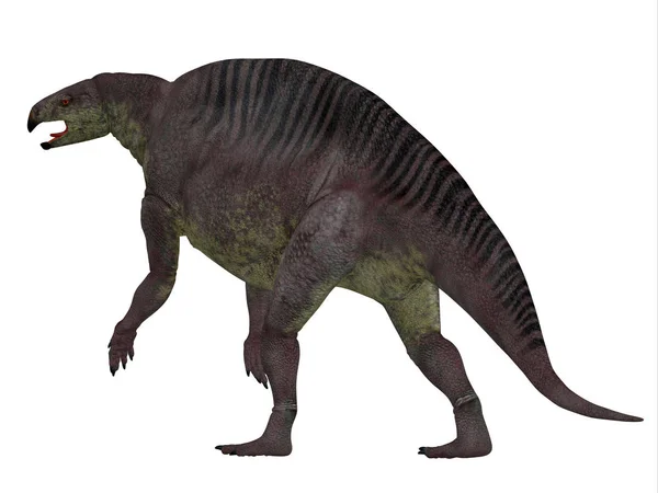 Ogon Lotosaurus dinozaur Zdjęcie Stockowe