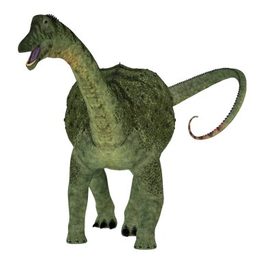 Beyaz üzerine Saltasaurus Dinazoru