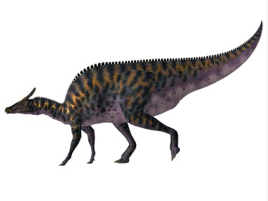 Saurolophus osborni Side Profile clipart