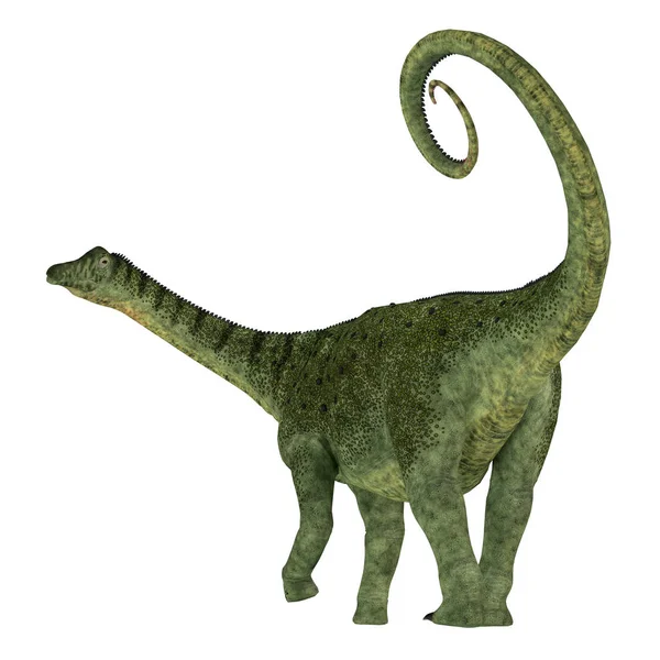 Saltasaurus Dinosaur Tail — Stock Photo, Image