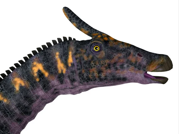 Saurolophus osborni Dinosaurie Head — Stockfoto