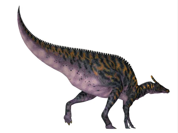 Saurolophus osborni Dinozor Kuyruğu — Stok fotoğraf