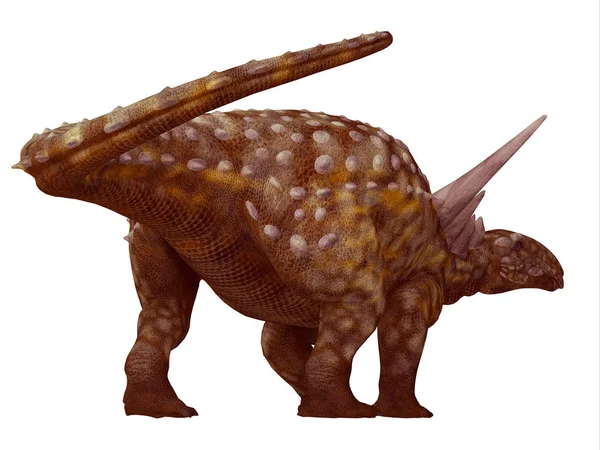 Sauropelta dinoszaurusz farok — Stock Fotó