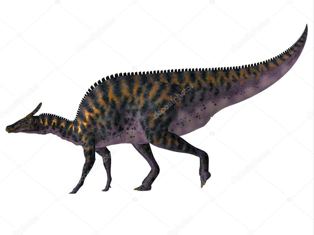 Saurolophus osborni Side Profile