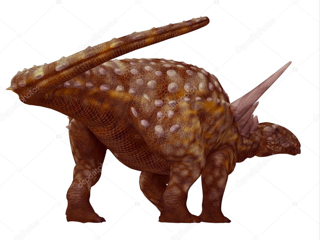 Sauropelta Dinosaur Tail