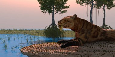 Saber-toothed Cat in Swamp clipart