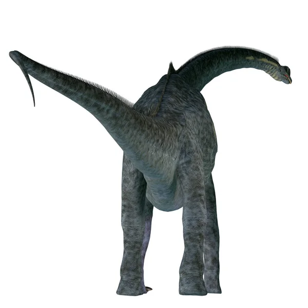 Sauroposeidon Dinosaurie stjärt — Stockfoto