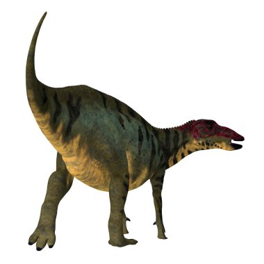 Shuangmiaosaurus Dinozor Kuyruğu