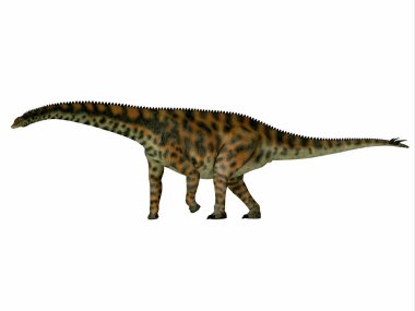 Spinophorosaurus Dinozor Kenar Profili