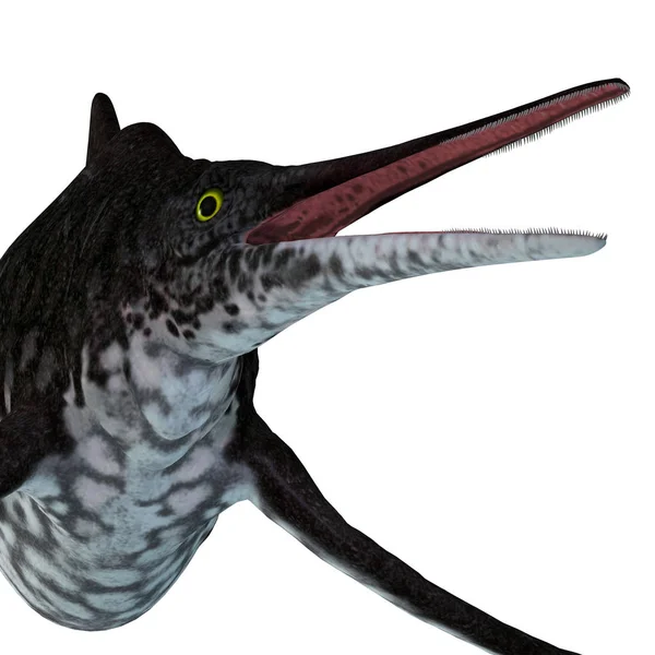 Shonisaurus ichthyosaurierkopf — Stockfoto