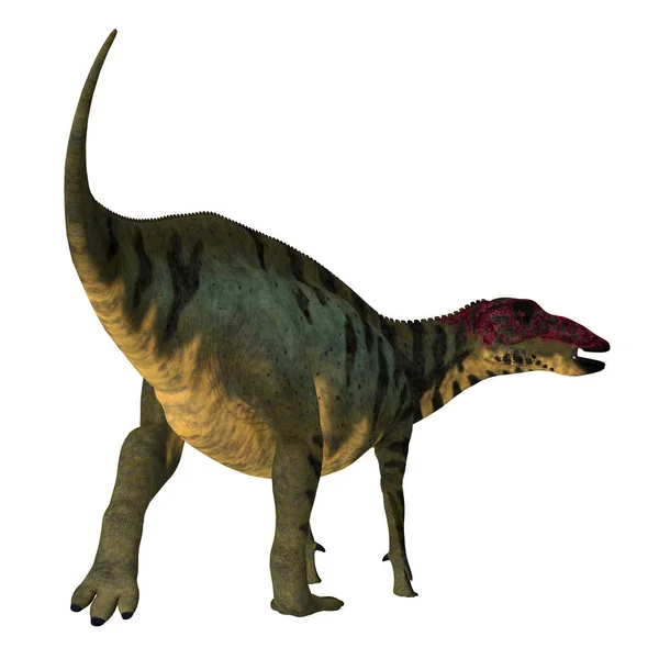 Shuangmiaosaurus-Dinosaurierschwanz — Stockfoto