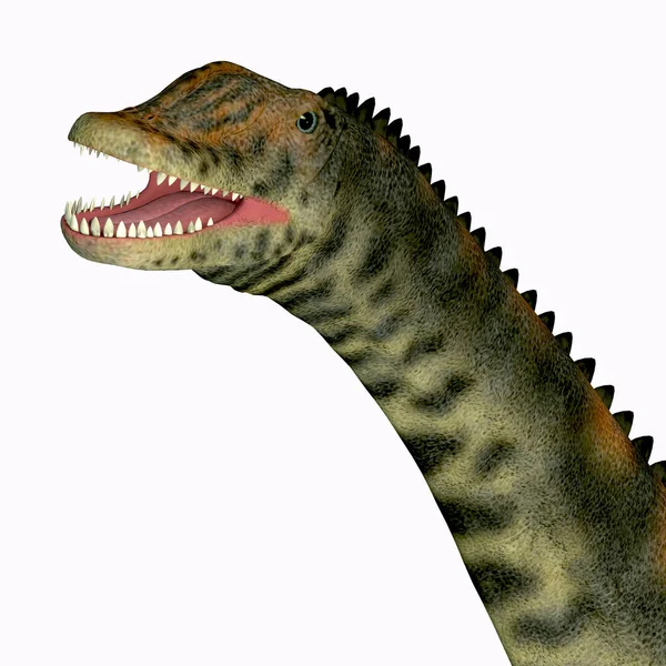 Spinophorosaurus Dinosauriehuvud — Stockfoto