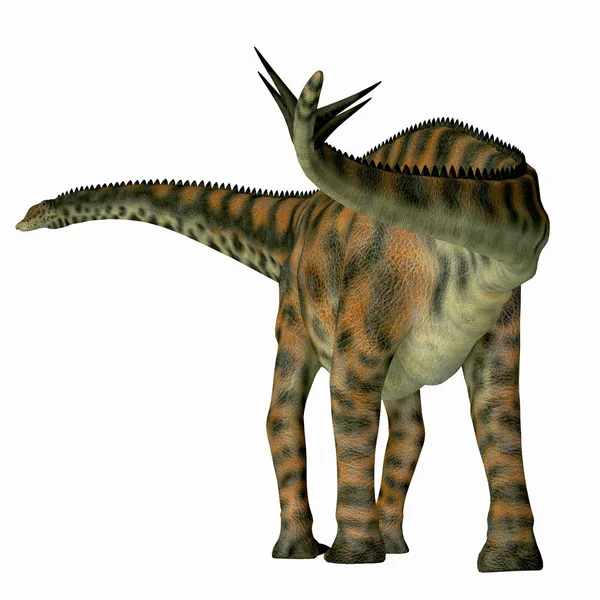 Cauda de dinossauro Spinophorosaurus — Fotografia de Stock