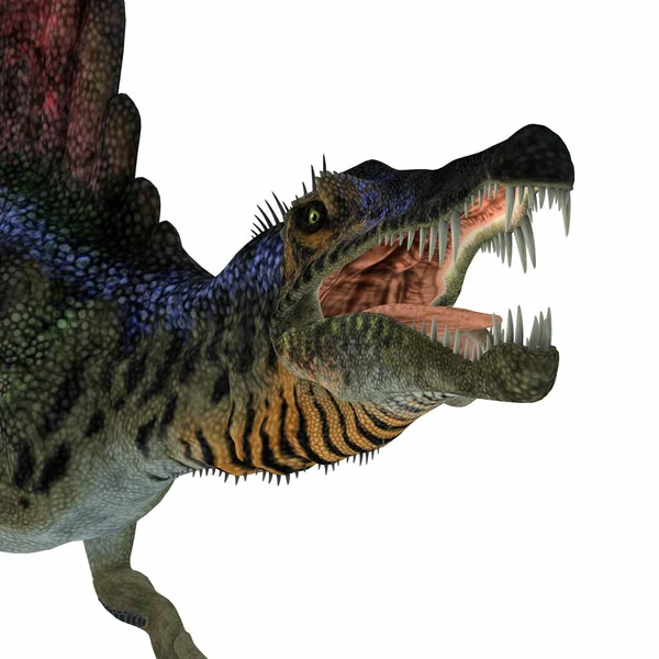 Testa di dinosauro spinosauro — Foto Stock