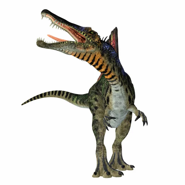 Spinosaurus Dinosaurie på vit — Stockfoto