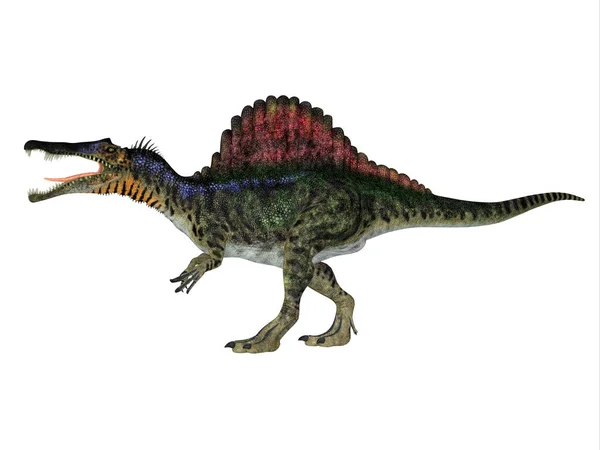 Perfil lateral del dinosaurio Spinosaurus —  Fotos de Stock