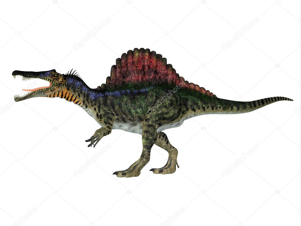 Spinosaurus Dinosaur Side Profile