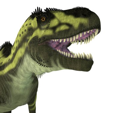 Torvosaurus, Jurasik Dönem boyunca Colorado ve Portekiz 'de yaşamış etobur bir theropod dinozorudur..