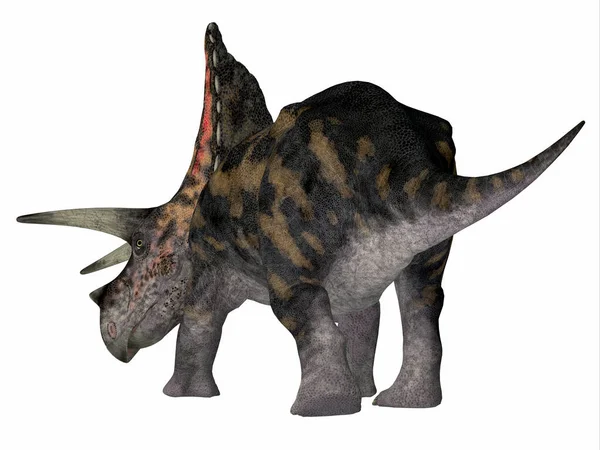 Torosaurus Var Behornad Växtätande Keratopsisk Dinosaurie Som Levde Nordamerika Kritaperioden — Stockfoto