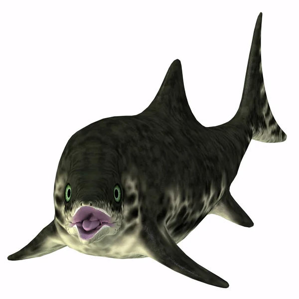 斯泰诺普特吉乌斯是侏罗纪时期在欧洲海域游泳的一种海洋爬行动物 — 图库照片