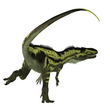 Torvosaurus, Jurasik Dönem boyunca Colorado ve Portekiz 'de yaşamış etobur bir theropod dinozorudur..