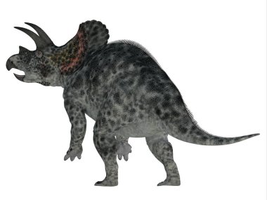 Triceratops, Kretase döneminde Kuzey Amerika 'da yaşamış otçul bir Ceratopsian dinozoruydu..