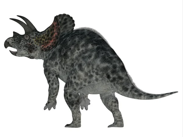 Triceratops Kretase Döneminde Kuzey Amerika Yaşamış Otçul Bir Ceratopsian Dinozoruydu — Stok fotoğraf