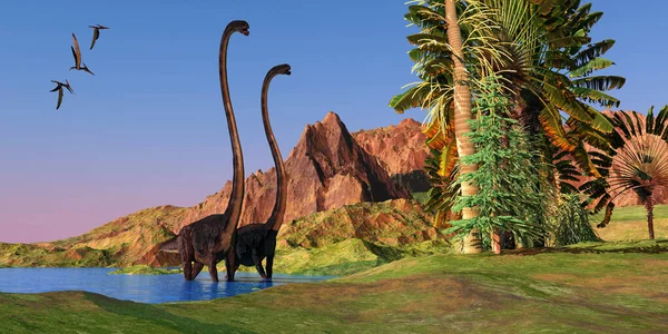 Two Omeisaurus Dinosaurs Wade Shallow Water Get Banana Carboniferous Pine — Stock Photo, Image