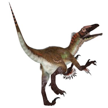 Utahraptor, Kretase döneminde ABD 'nin Utah kentinde yaşamış etobur bir theropod dinozoruydu..