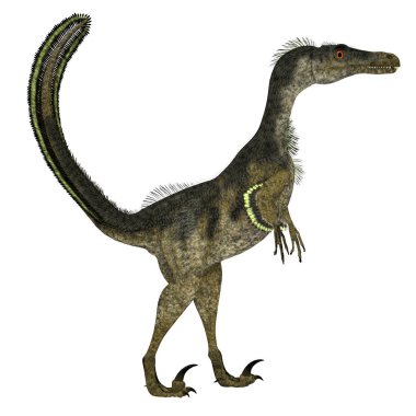 Velociraptor, Kretase döneminde Moğolistan, Çin 'de yaşamış etobur bir teropod dinozorudur..
