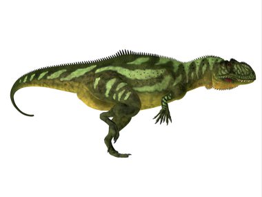 Yangchuanosaurus, Jurassic Dönemi boyunca Çin 'de yaşamış etobur bir theropod dinozoruydu..