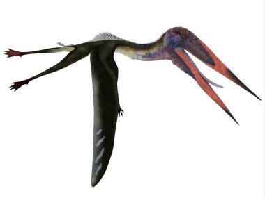 Zhejiangopterus, Kretase döneminde Çin 'de yaşamış etobur bir Pterosaur sürüngeniydi..