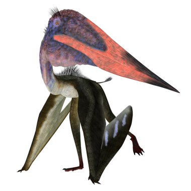 Zhejiangopterus, Kretase döneminde Çin 'de yaşamış etobur bir Pterosaur sürüngeniydi..