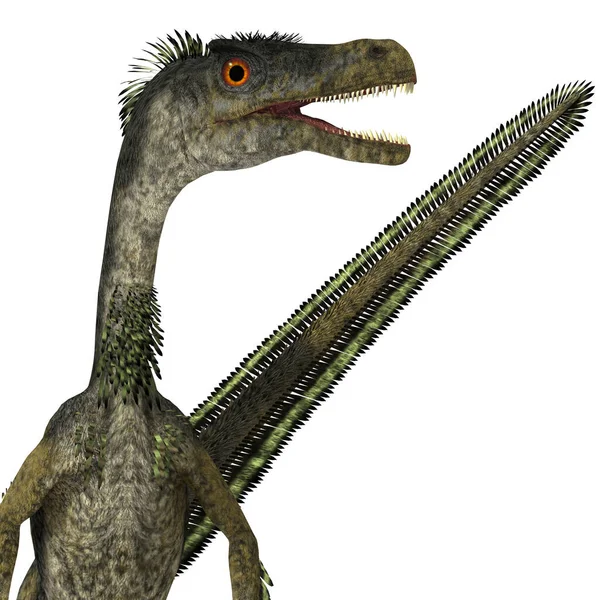 ヴェロキラプトル Velociraptor 白亜紀中国のモンゴルに生息した肉食恐竜 — ストック写真