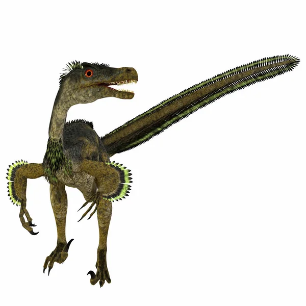 Velociraptor 是一种食肉兽脚类恐龙 生活在白垩纪的蒙古 — 图库照片
