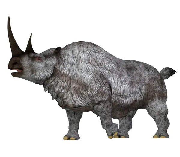 코뿔소 Woolly Rhino 플라이스토세 시대에 아시아와 유럽에서 살았던 초식성 코뿔소이다 — 스톡 사진