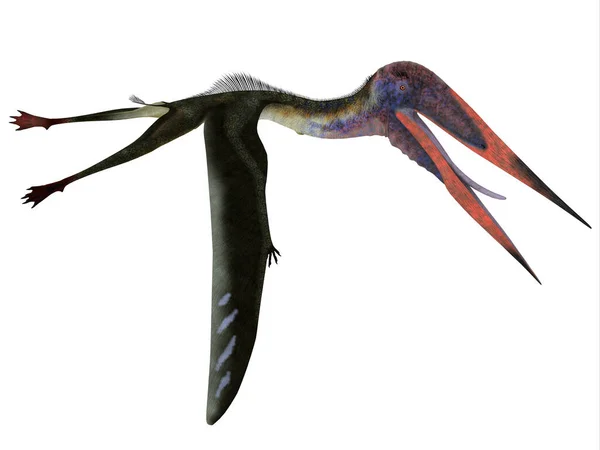 Zhejiangopterus Een Vleesetend Pterosaurus Reptiel Dat Leefde China Tijdens Het — Stockfoto