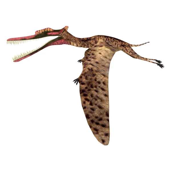 鎮遠翼竜は 白亜紀中国に生息した肉食性の翼竜類の爬虫類である — ストック写真