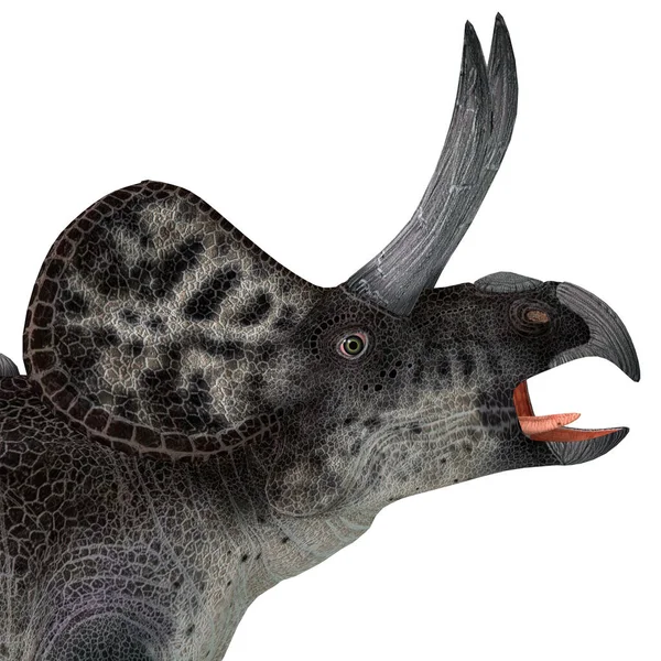 Zuniceratops Zuniceratops 是一种食草动物 生活在美国新墨西哥州白垩纪 — 图库照片