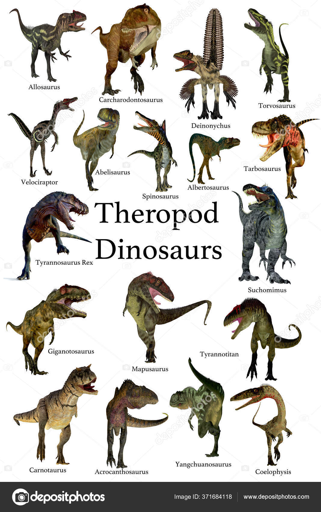 Collection Set Theropod Carnivorous Dinosaurs Cretaceous Jurassic