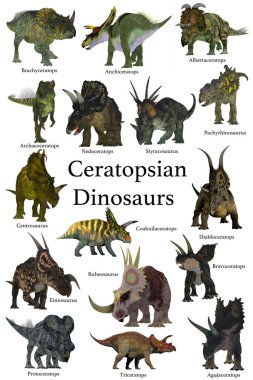 Dünya hayvan tarihinin Kretase Dönemi 'nden kalma Ceratops gagalı dinozorlar koleksiyonu..