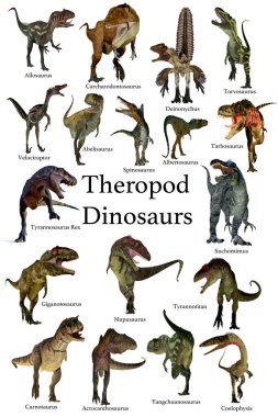Kretase, Jurasik ve Triyas Dönemi 'nden Theropod etobur dinozorlar koleksiyonu..