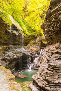 Gorge, Watkins Glen